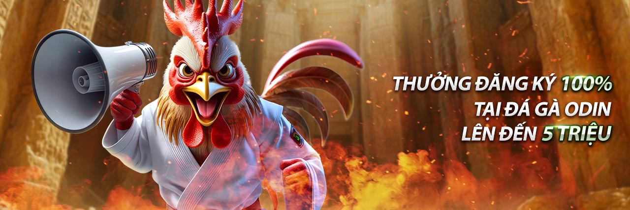 Quản lý vốn hiệu quả khi chơi game bắn cá đổi thưởng